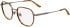 Calvin Klein CK24113 glasses in Blonde Havana