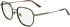Calvin Klein CK24113 glasses in Dark Havana