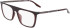 Converse CV8009 glasses in Crystal Bloodstone
