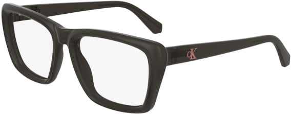 Calvin Klein Jeans CKJ24629 glasses in Brown