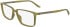 Calvin Klein CK24547 glasses in Caramel