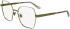 Calvin Klein CK24112 glasses in Gold/Ivory