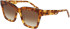DKNY DK551S sunglasses in Honey Tortoise
