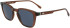Lacoste L6040S sunglasses in Transparent Brown