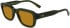 Lacoste L6048S sunglasses in Khaki