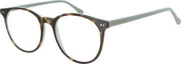 Ted Baker TB9126 glasses in Tortoise/Mint