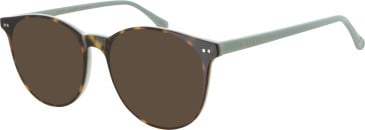 Ted Baker TB9126 sunglasses in Tortoise/Mint