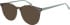 Ted Baker TB9126 sunglasses in Tortoise/Mint