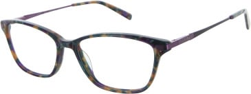 Ellen Tracy ET HAVANA glasses in Teal/Purple