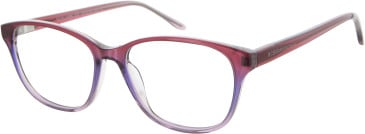 BCBGMAXAZRIA BCBG KESSA glasses in Red/Purple