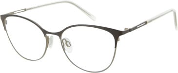 Morgan Mod 203214 glasses in Brown