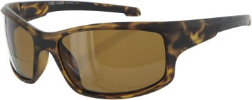 Cole Hann CH6060 sunglasses in Dark Tortoise