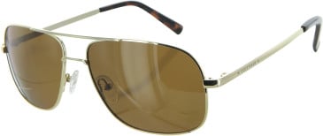 Cole Hann CH6016 sunglasses in Gold