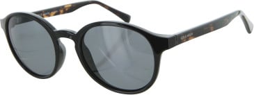 Cole Hann CH7050 sunglasses in Black