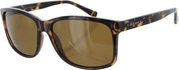 Cole Hann CH6014 sunglasses in Dark Tortoise