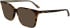 Calvin Klein CK24544 sunglasses in Havana