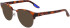 Nike NIKE 8402 sunglasses in Soft Tortoise/Gunmetal