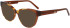 DKNY DK5073 sunglasses in Honey Tortoise/Coco Crystal