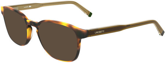 Lacoste L2964 sunglasses in Havana