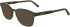 Lacoste L2964 sunglasses in Transparent Khaki