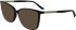 Calvin Klein CK24545 sunglasses in Dark Havana