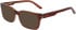 Nike NIKE 7174 sunglasses in Cedar/Amber Laminate