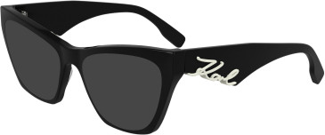 Karl Lagerfeld KL6171 sunglasses in Black