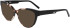 DKNY DK5073 sunglasses in Milk Tortoise/Black