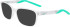 Nike NIKE 7278 sunglasses in Clear