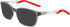 Nike NIKE 7278 sunglasses in Smoke Grey