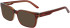 Nike NIKE 7174 sunglasses in Cedar/Amber Laminate