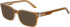 Nike NIKE 7174 sunglasses in Amber/Smoke Laminate