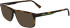 Lacoste L2959 sunglasses in Havana