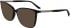 Calvin Klein CK24545 sunglasses in Dark Havana