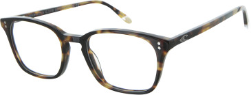 O'Neill ONB-4013 Glasses in Tortoise