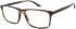 O'Neill ONO-4502 Glasses in Brown