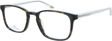O'Neill ONB-4015 Glasses in Tortoise