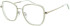 Ted Baker TB9228 glasses in Gold
