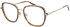 Ted Baker TB9228 glasses in Gold/Tortoise