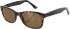 SFE-11484 kids sunsunglasses in Tortoise