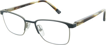 etnia Barcelona ETNIA-PETER glasses in Teal