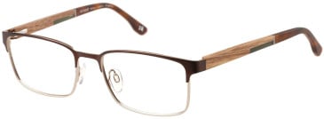 Botaniq BIO-1121 glasses in Brown