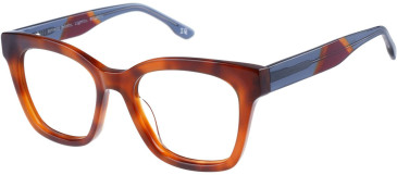 Botaniq BIO-1132 glasses in Havana/Blue