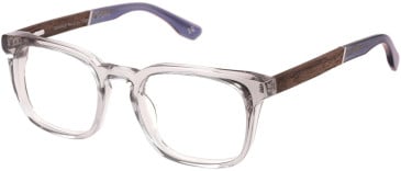 Botaniq BIO-1131 glasses in Grey