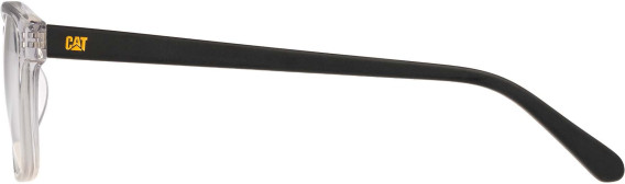 CAT CTO-3051 glasses in Clear