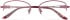 Puccini PCO-340 glasses in Purple