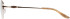 Puccini PCO-343 glasses in Gold