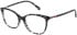 Radley RDO-6051 glasses in Black