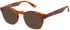 Botaniq BIO-1129 sunglasses in Tort