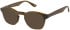 Botaniq BIO-1129 sunglasses in Green